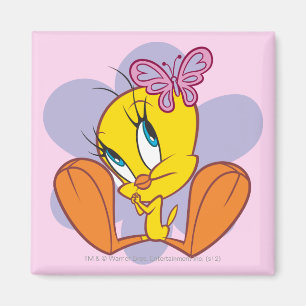 Íman Tweety e borboleta