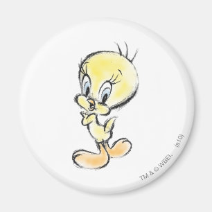 Íman Tweety - Entrega