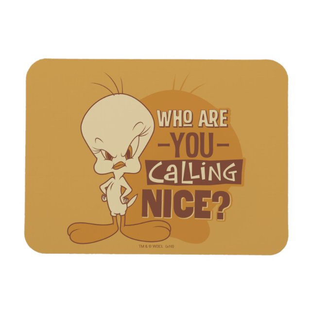 Íman TWEETY™ - Quem Você Está Chamando de Bonzinho? (Horizontal)