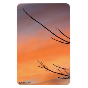 Íman Twigs com Laranja, Vermelho, Púrpura Sunset