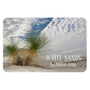 Íman Twin Yuccas, White Sands National Park