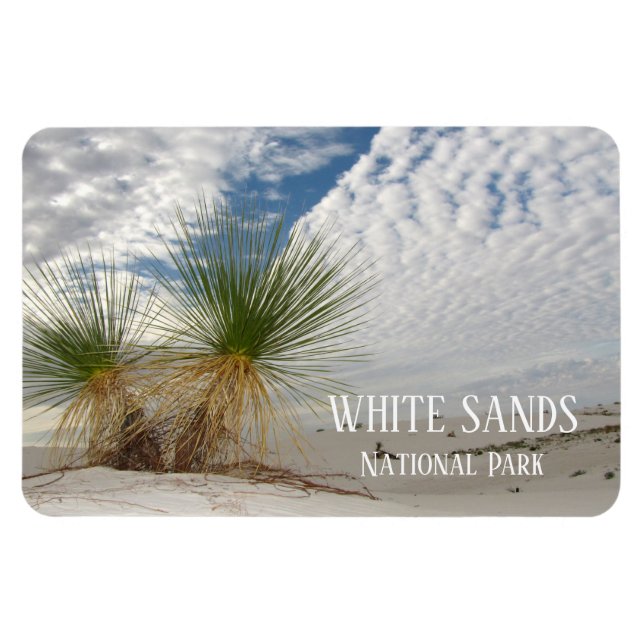 Íman Twin Yuccas, White Sands National Park (Horizontal)