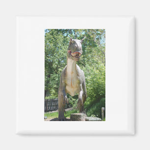 Íman Tyrannosaurus Rex Dinosaur