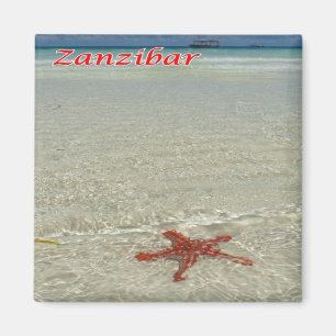 Íman TZ - Tanzânia - Zanzibar - Starfish Nervoso