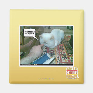 Íman U empurrou minha cara para dentro!