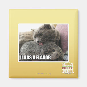 ÍMAN U TEM UM SABOR