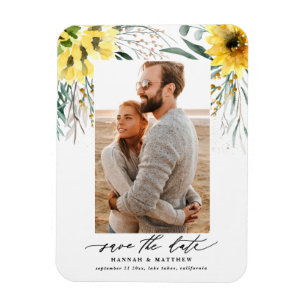 Íman Ucalyptus rusticus caem lata de girassol