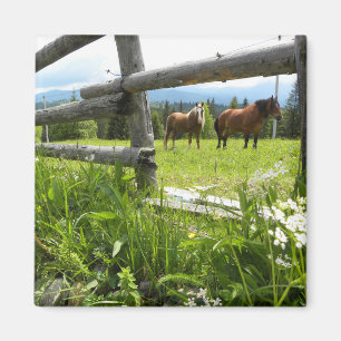 Íman Ucrânia: nas montanhas dos Cárpatos