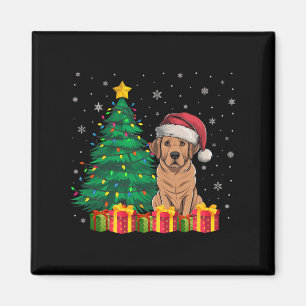 Íman Ugly Labrador Papai Noel Luz de Natal