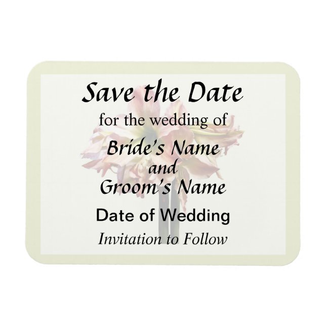 Íman Um Adorável Amaryllis Rosa e Branco Salve a Data (Horizontal)