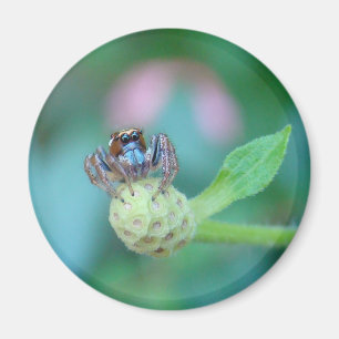 Íman Um Amigo Do Jardim!