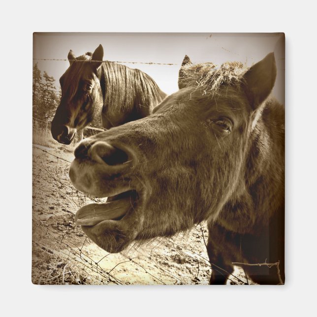 Íman Um Amigo Real (Frente)