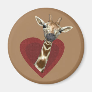 Íman Um Bom Coração Para Girafas