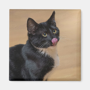Íman Um Bom Lick Painterly