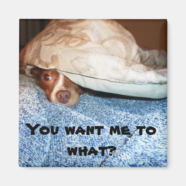 Íman Um cachorro chamado Mia (Frente)