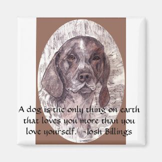 Íman Um Cachorro É Magnético 2