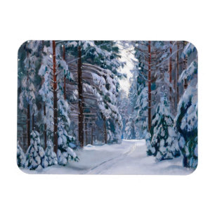Íman Um Caminho Neve na Floresta, inverno