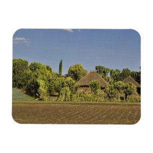 Íman Um campo agrícola em frente a casas com telhado de