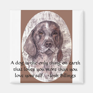 Íman Um cão é o ímã 2