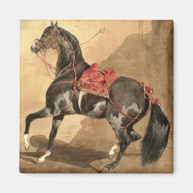 Íman Um Cavalo Árabe (c/c) estabelecido no papel (Frente)