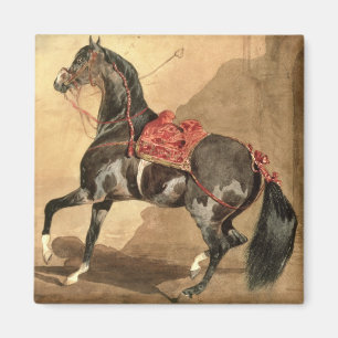 Íman Um cavalo árabe (estabelecido w/c no papel)