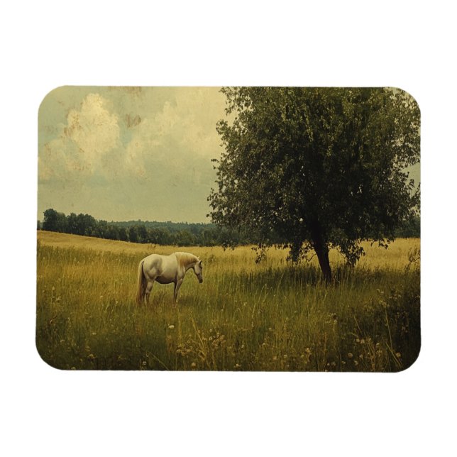 Íman Um Cavalo Branco Pastando Em Um Campo (Horizontal)