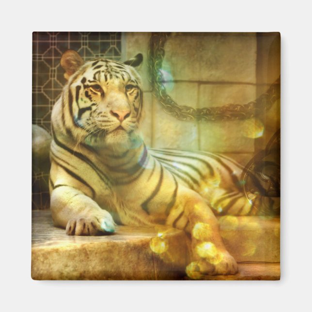 Íman Um Coração em Descanso (Frente)