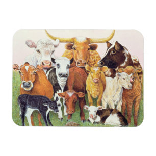 Íman Um desconhecido de surpresa