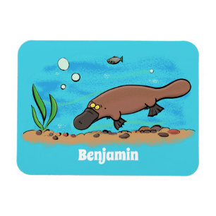 Íman Um desenho animado para a natação em platypus