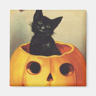 Íman Um Dia das Bruxas alegre, gato preto do vintage na
