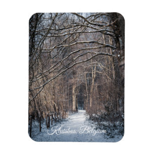 Íman Um Dia de Inverno em Kluisbos Bélgica