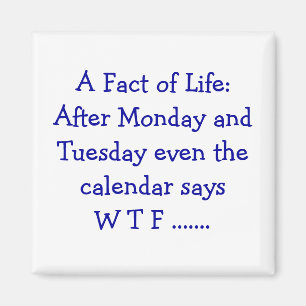 Íman Um facto da vida - ímã