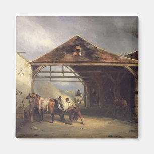 Íman Um Farrier que calça um cavalo