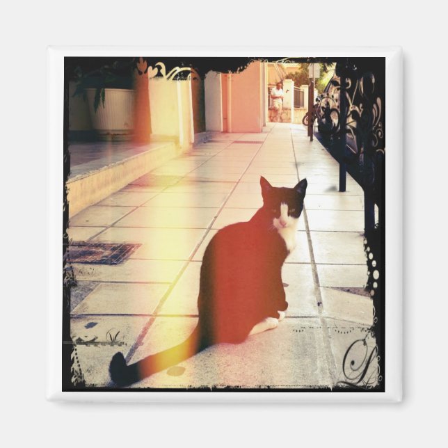 Íman Um gato (Frente)