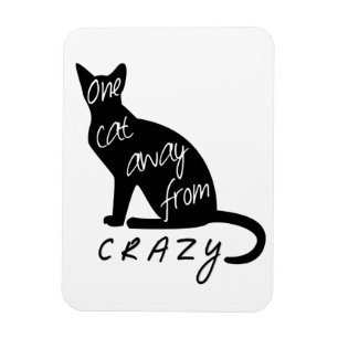 Íman Um gato longe de LOUCO