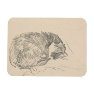 Íman Um gato ondulado acima, dormindo por Edouard