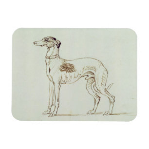 Íman Um Greyhound, virado para a esquerda (caneta e tin