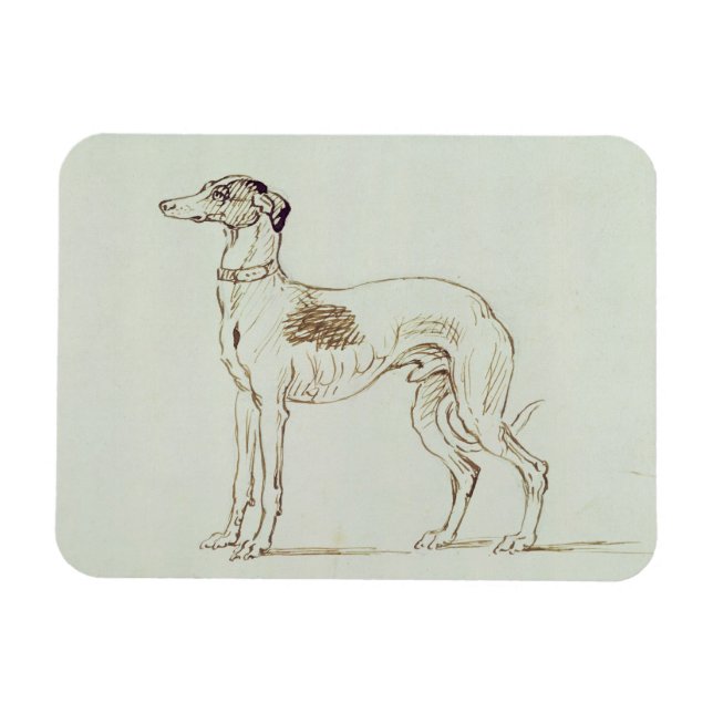 Íman Um Greyhound, virado para a esquerda (caneta e tin (Horizontal)