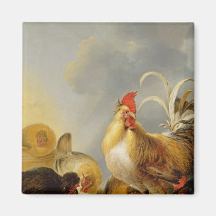 Íman Um grupo da galinha do pátio, 1643
