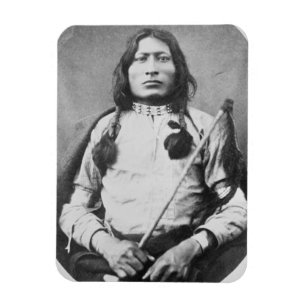 Íman Um guerreiro de Bull, 1882 (foto de b/w)