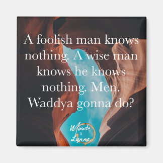 Íman Um imã de homem tolo