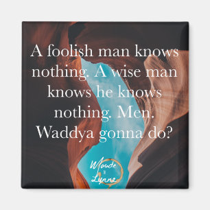 Íman Um ímã insensato do homem