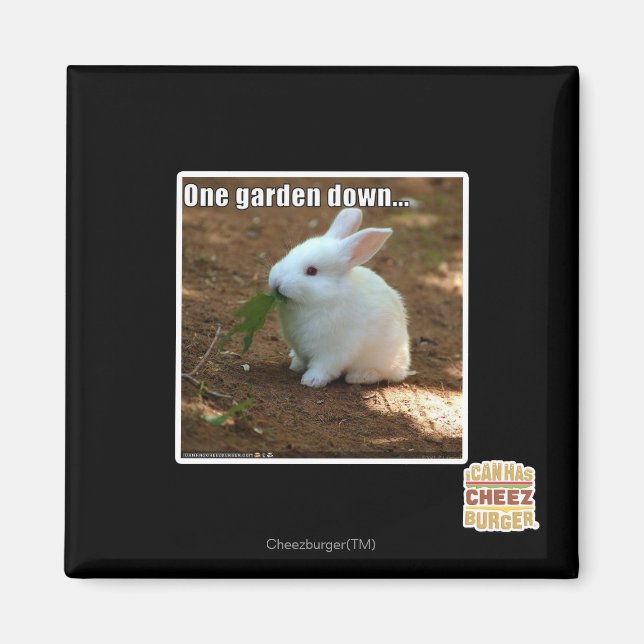 Íman Um Jardim para Baixo � (Frente)