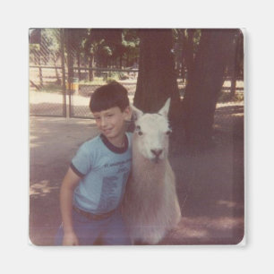 Íman Um Llama Hug Magnet destruído