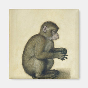 Íman Um macaco