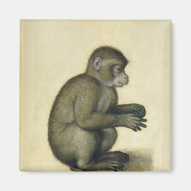 Íman Um Macaco (Frente)