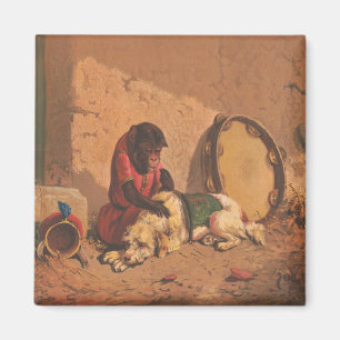 Íman Um Macaco E Um Cachorro Com Um Grande Tambourino