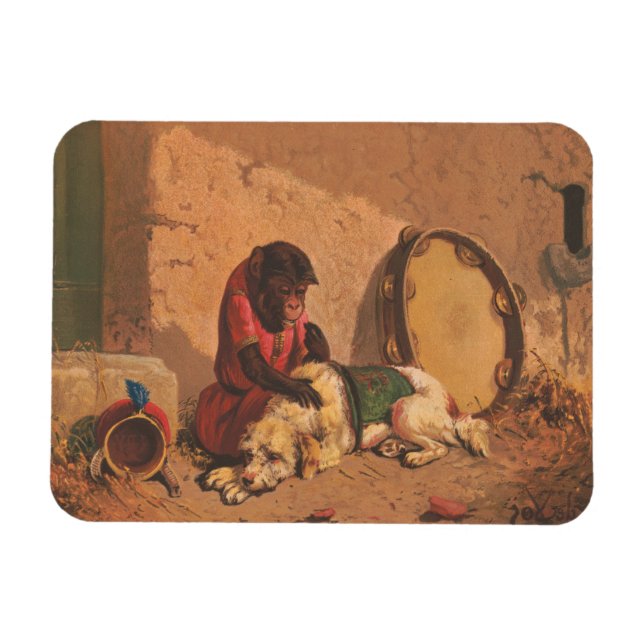 Íman Um Macaco E Um Cachorro Com Um Grande Tambourino (Horizontal)