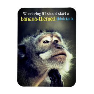 Íman Um macaco pensativo pensando em uma citação engraç