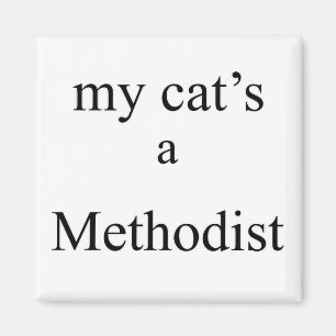 Íman Um metodista do meu gato